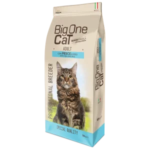 big one cat adult pesce