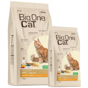 big one cat premium adult con pollo e riso