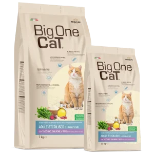 big one cat premium sterilizzato salmone e riso