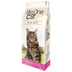 big one cat qualità