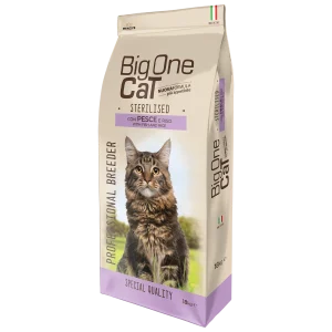 big one cat sterilizzato pesce