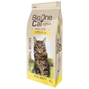 big one cat sterilizzato pollo