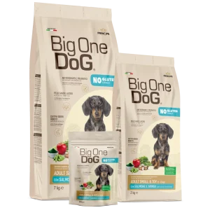 big one dog premium adult salmone