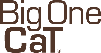 Big One Cat